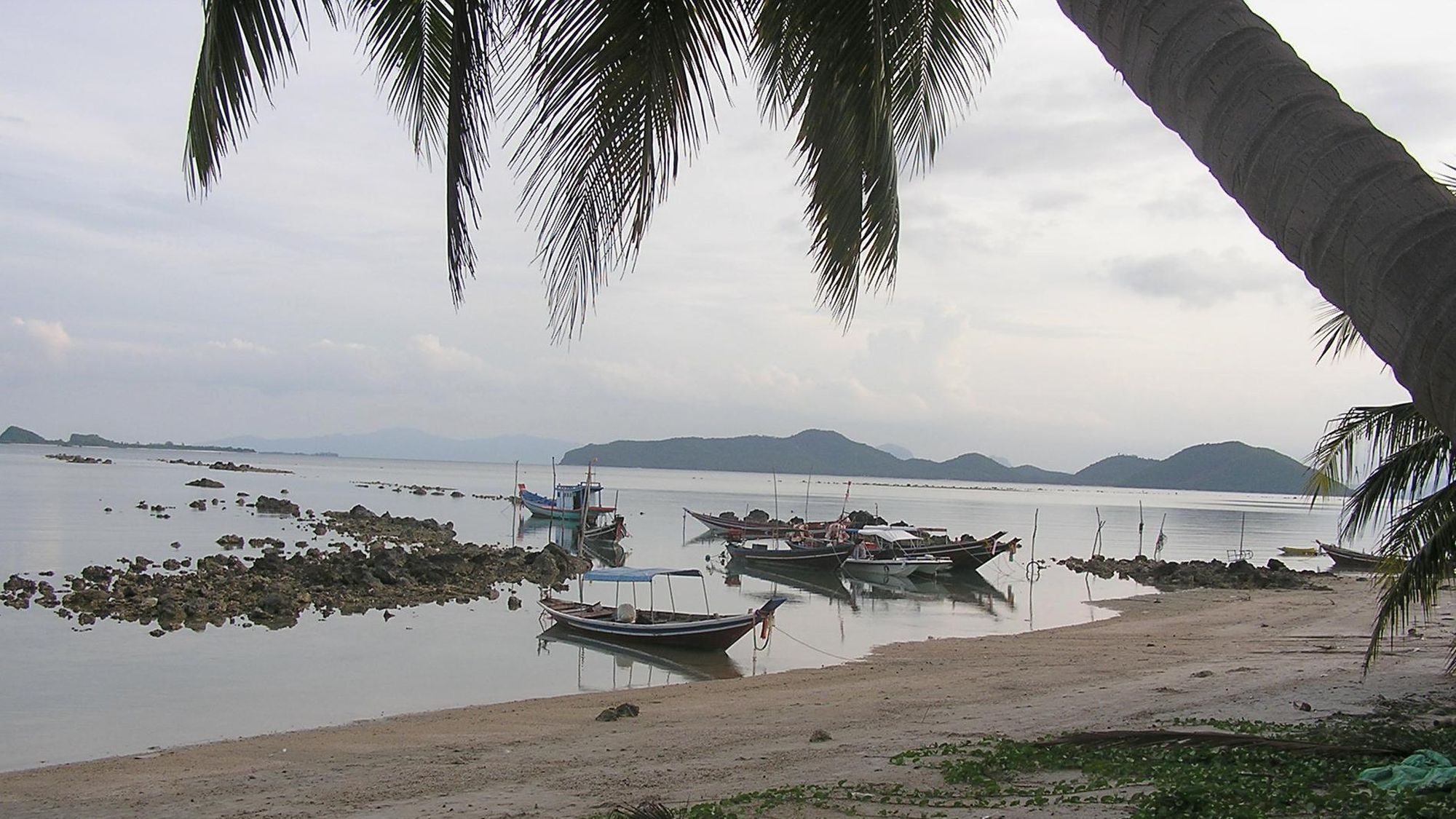 Beach boats and coconut tree.