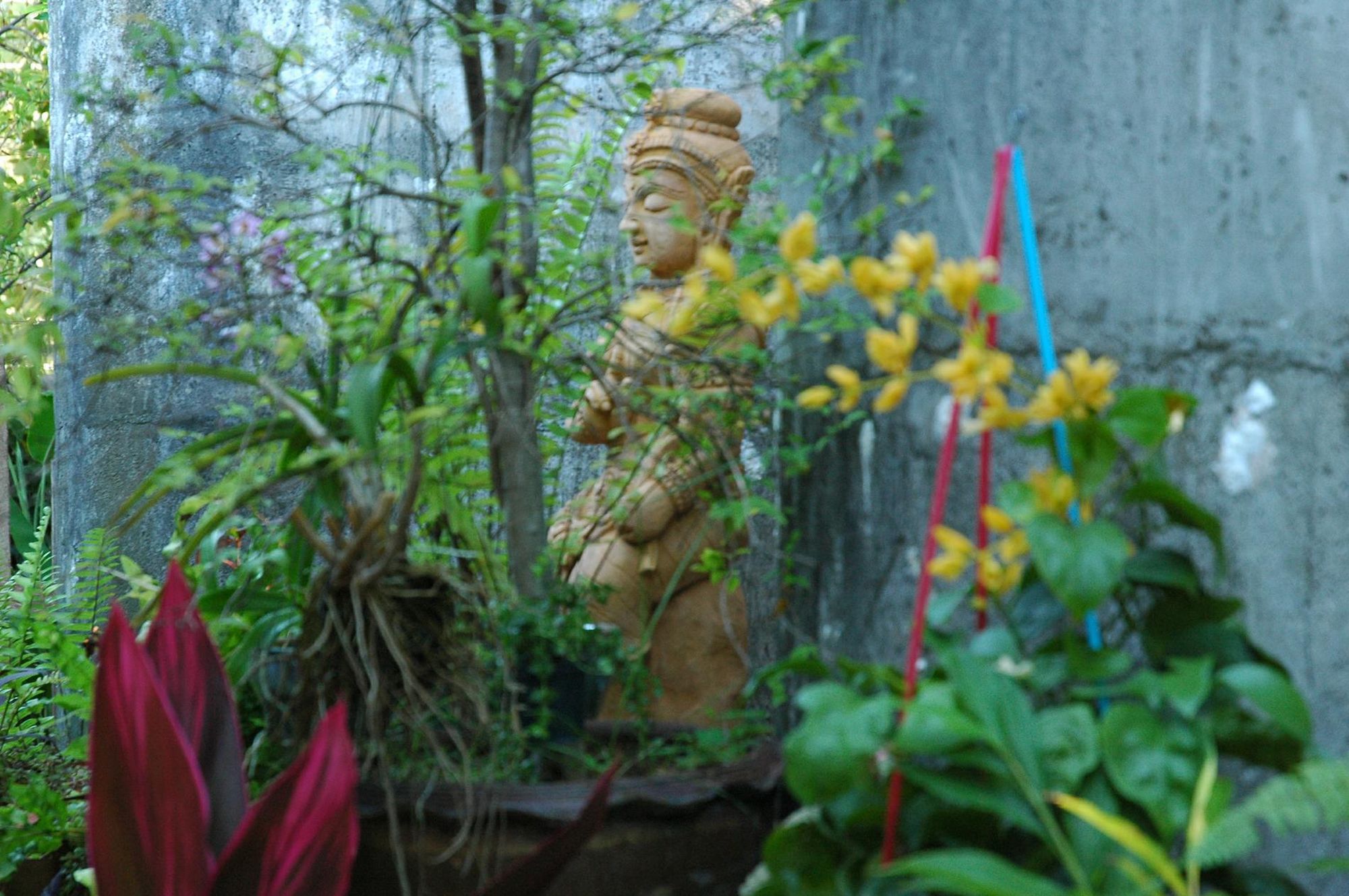 Flowers surrounding jungle temple.
