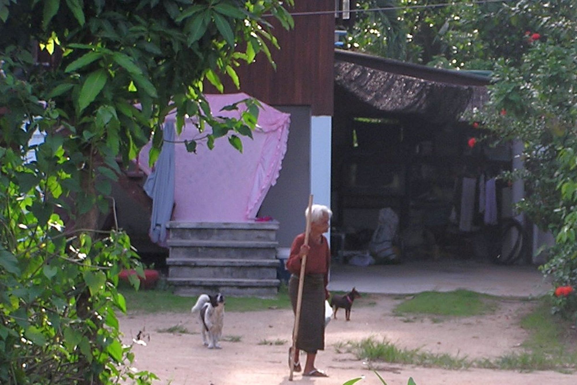Greeted by grandmother near the 100 YearOld House.