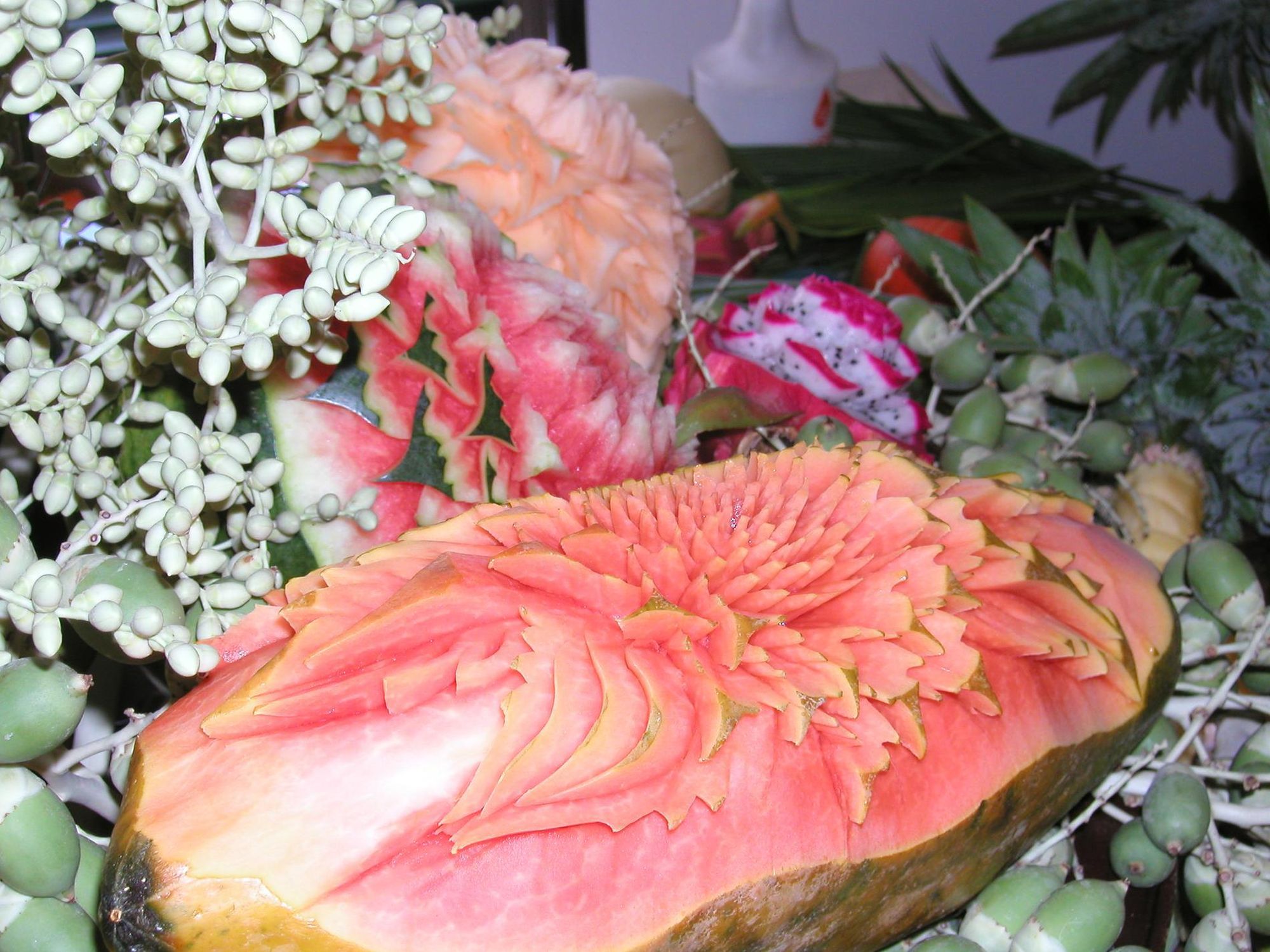 Melon and dragon fruit flowers.