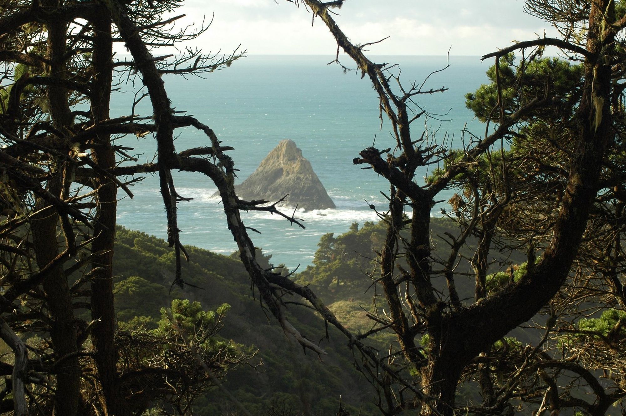 Port Orford View.