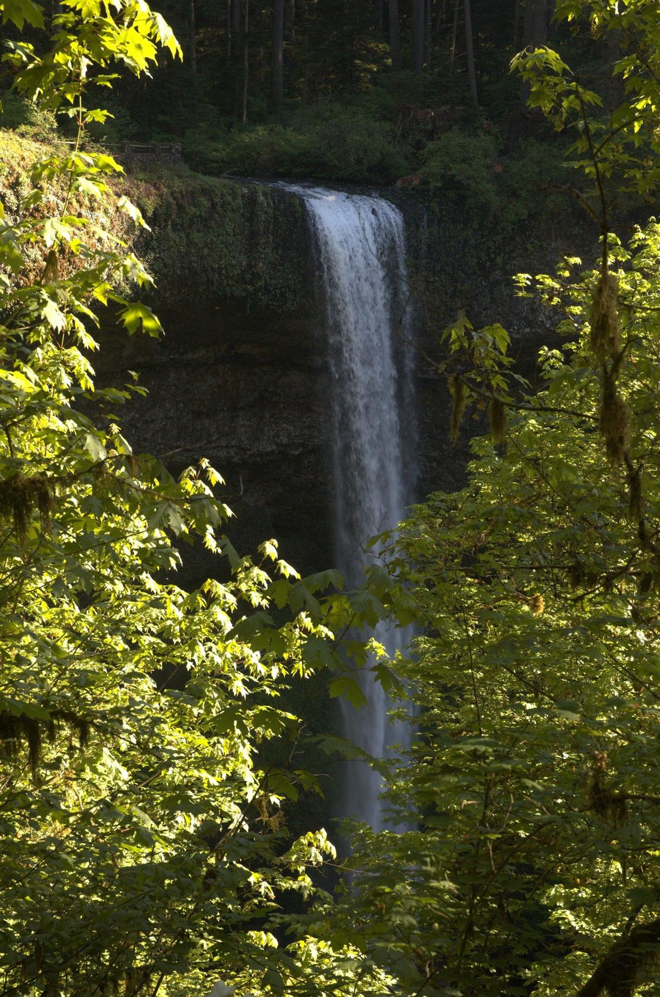 Silver Creek Falls.
