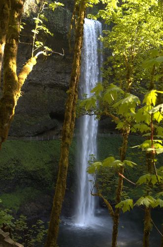 Silver Creek Falls n1.