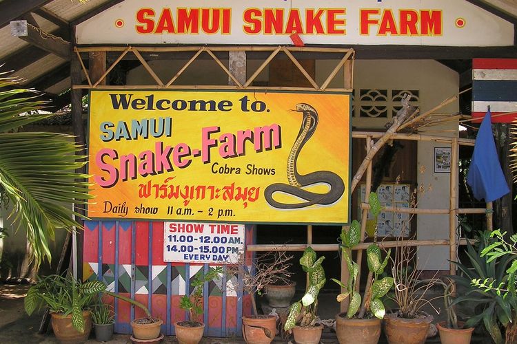 The Snake Farm has cobras boas centipedes and scorpions.