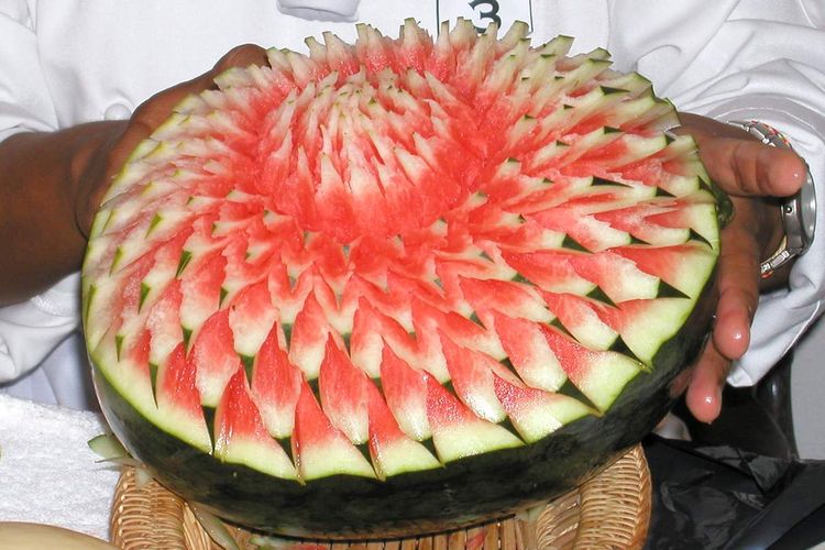 The watermelon becomes radiant.