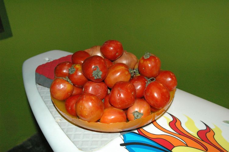Tomatoes in Juice bar.